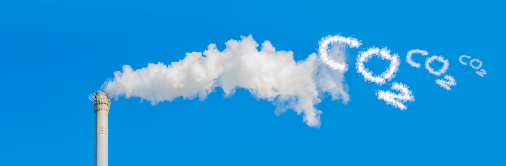 reduce carbon emissions from business travel