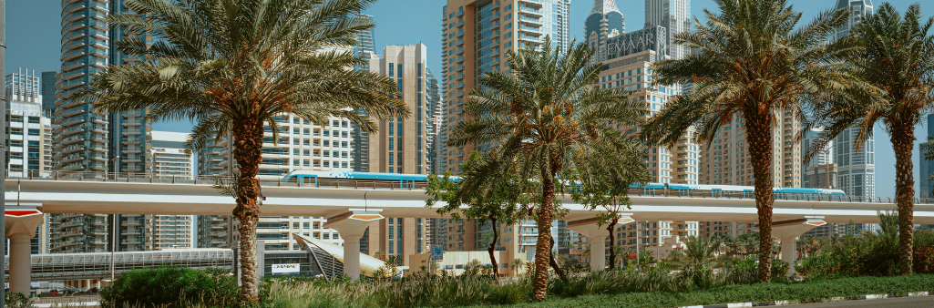 Palm trees and greenery in front of a modern city skyline with a monorail passing on an elevated track.