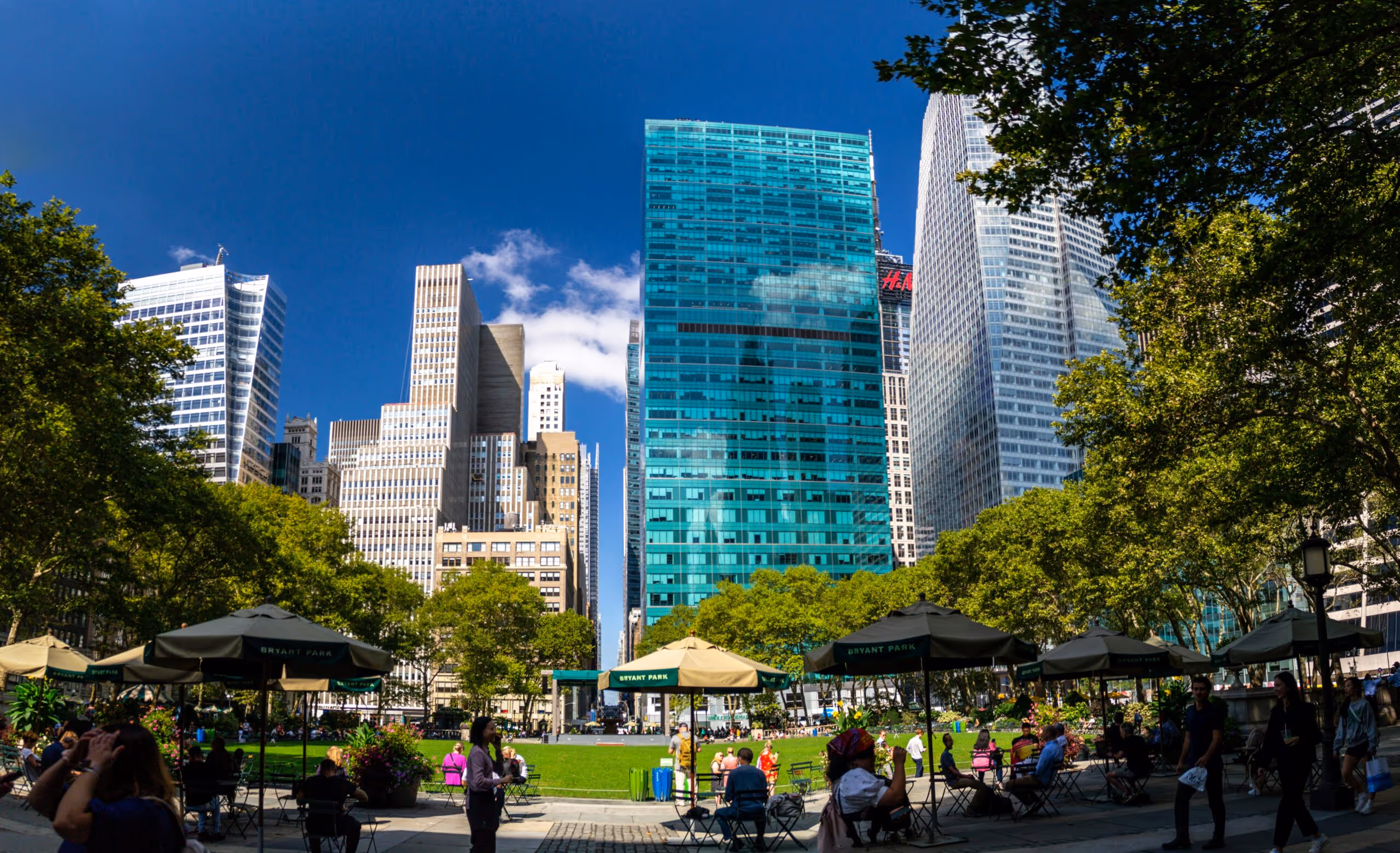 Best Parks for Calls Near Midtown: Quiet Outdoor Spots