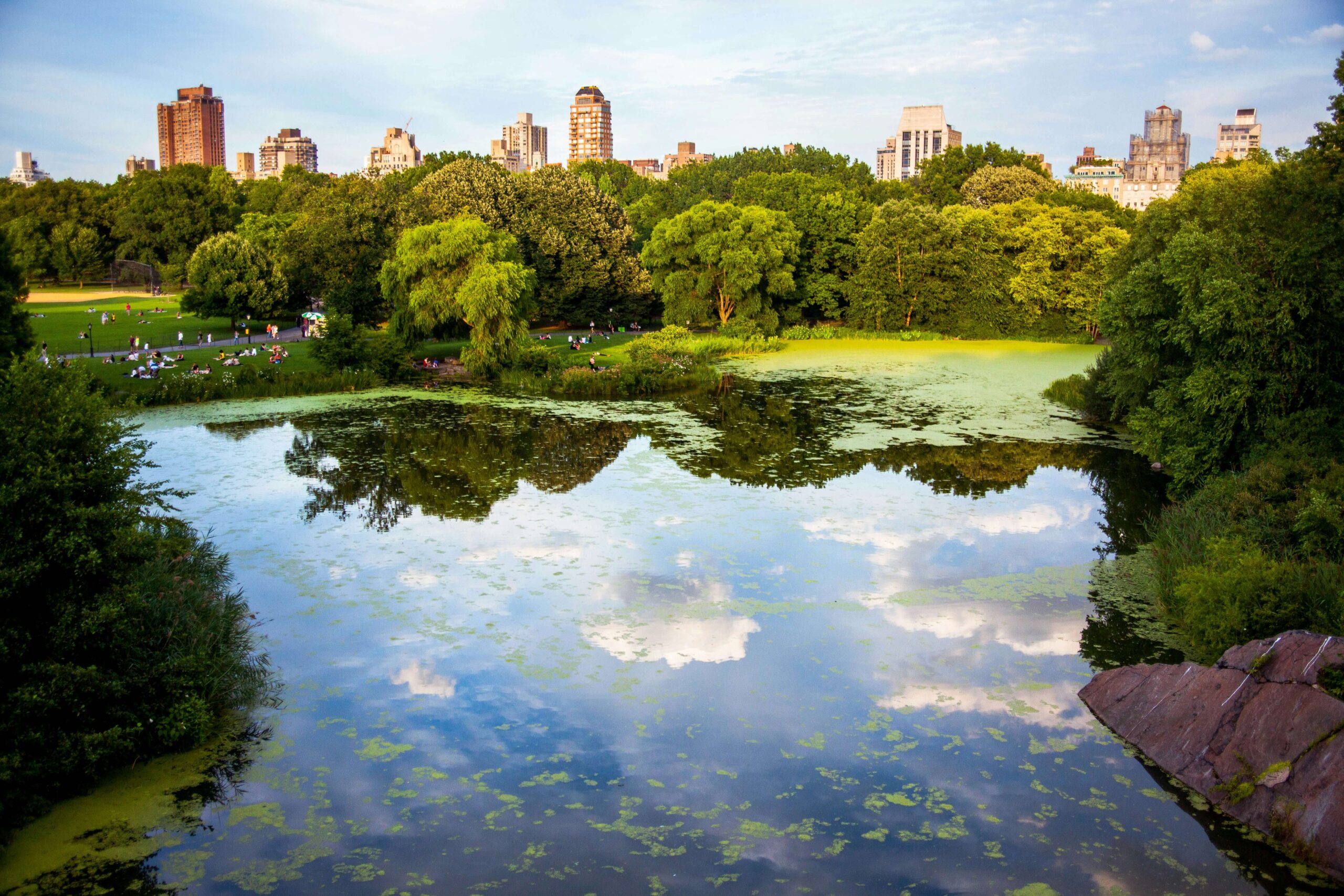 Peaceful Places in NYC to Decompress During a Business Stay