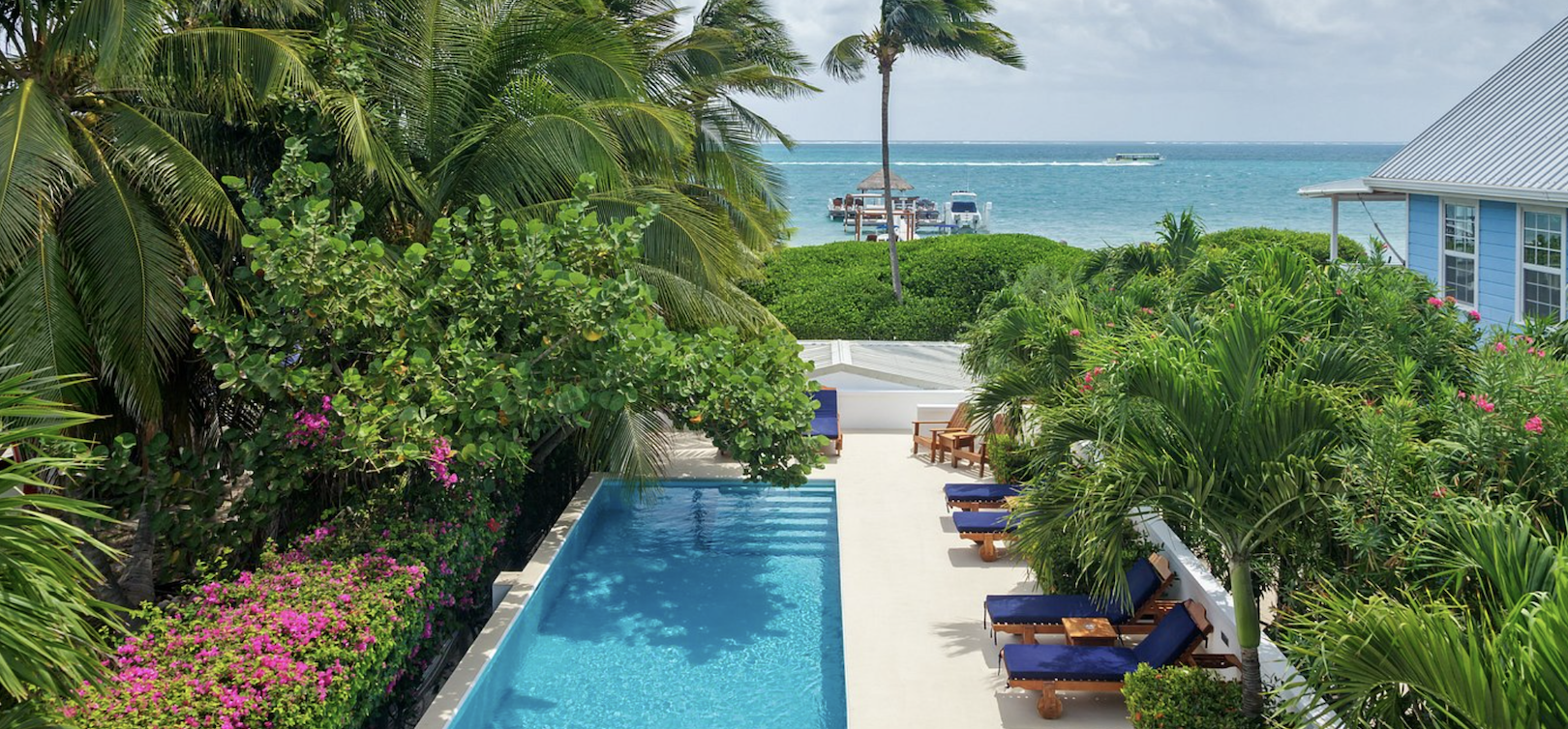 Tropical resort pool framed by palms and pink bougainvillea, with lounge chairs, a dock and turquoise sea on Caye Caulker