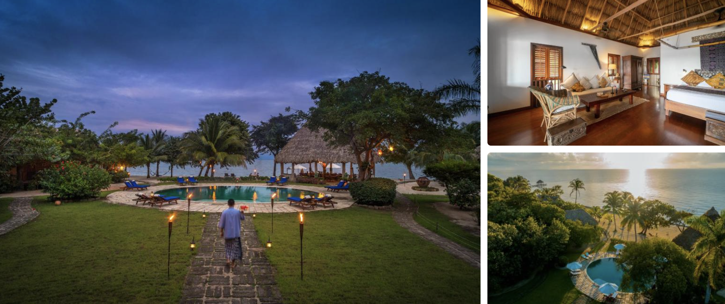 Photos of a Placencia, Belize cabana: bed with sofa, lit cabin at night, hammock deck and gardens with palms by the water
