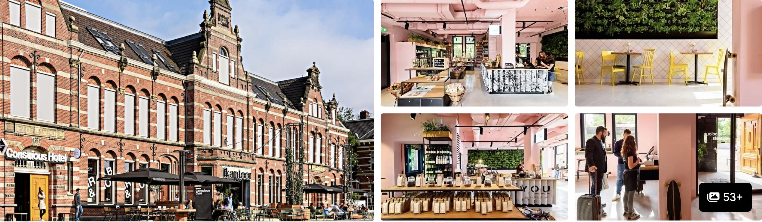 Photos of Conscious Hotel Westerpark, Amsterdam: historic red-brick building and pink cafe with plant wall