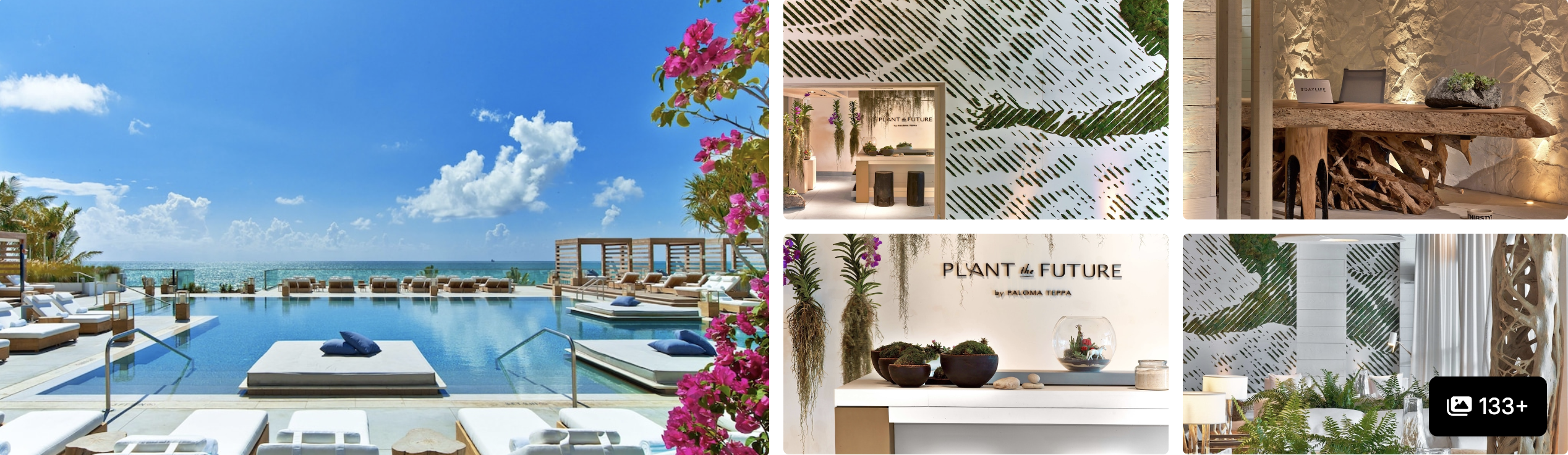Photos of 1 Hotel South Beach Miami: oceanfront infinity pool with loungers, plant-filled lobby and natural-wood interiors