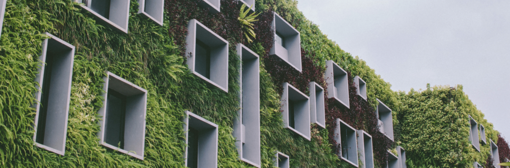 Why Choose Eco-Friendly Hotels?