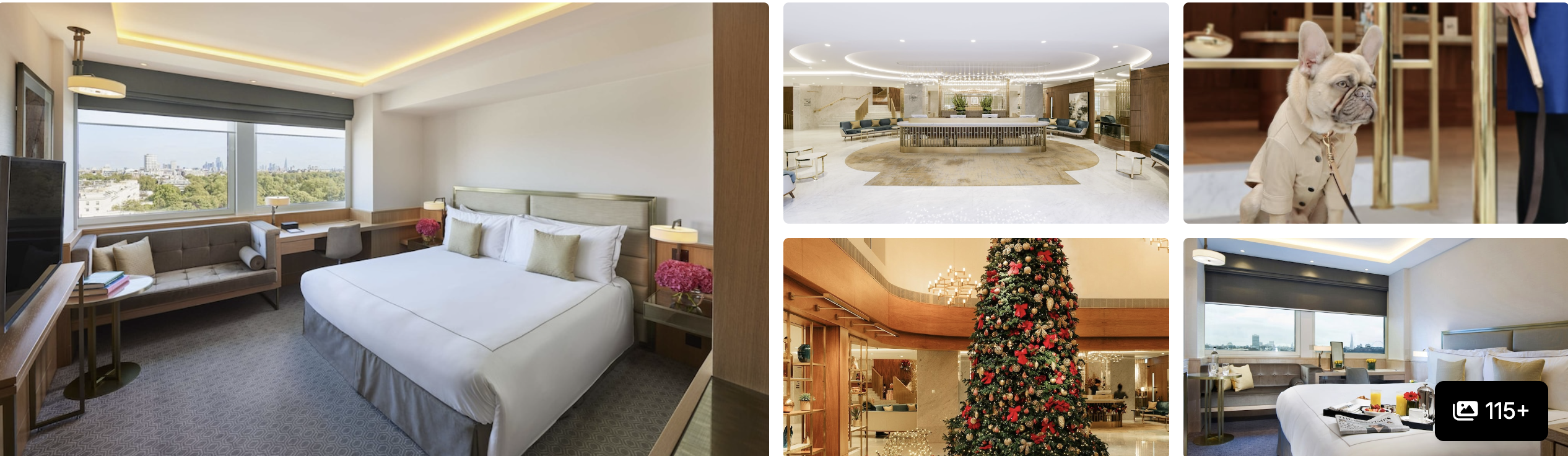 Photos of Hilton London Metropole: guest room with city view, grand lobby, decorative detail and Christmas tree in atrium