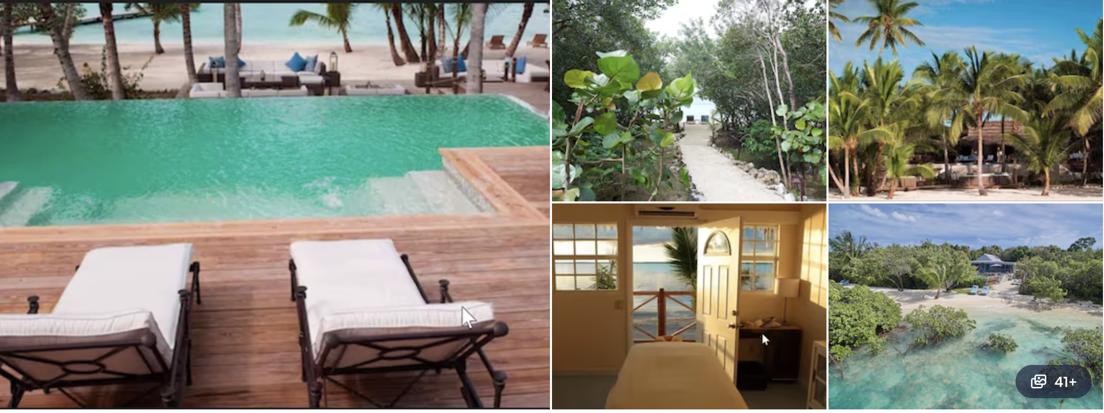 Photos of an eco resort on Andros, Bahamas: infinity pool and loungers, wooded paths and beach cottage