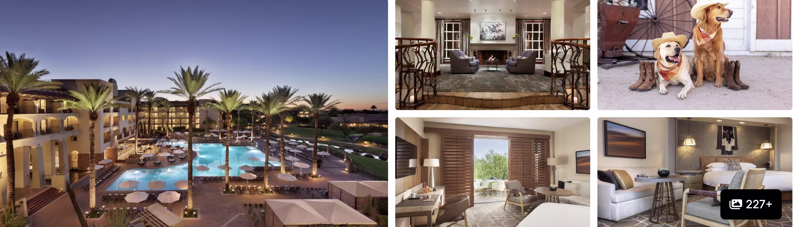 Photos of The Phoenician, A Luxury Collection Resort: living room with ocean view, lobby lounge, dining and seating areas