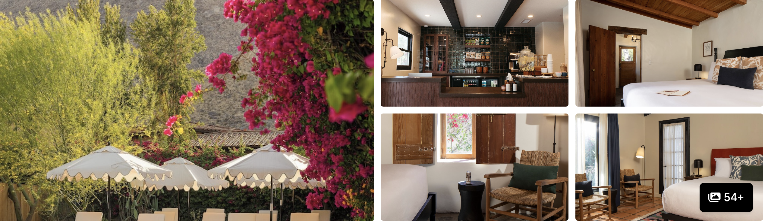 Photos of Kimpton Rowan Palm Springs: rooftop pool with mountain views, lit shelving and owl wall art