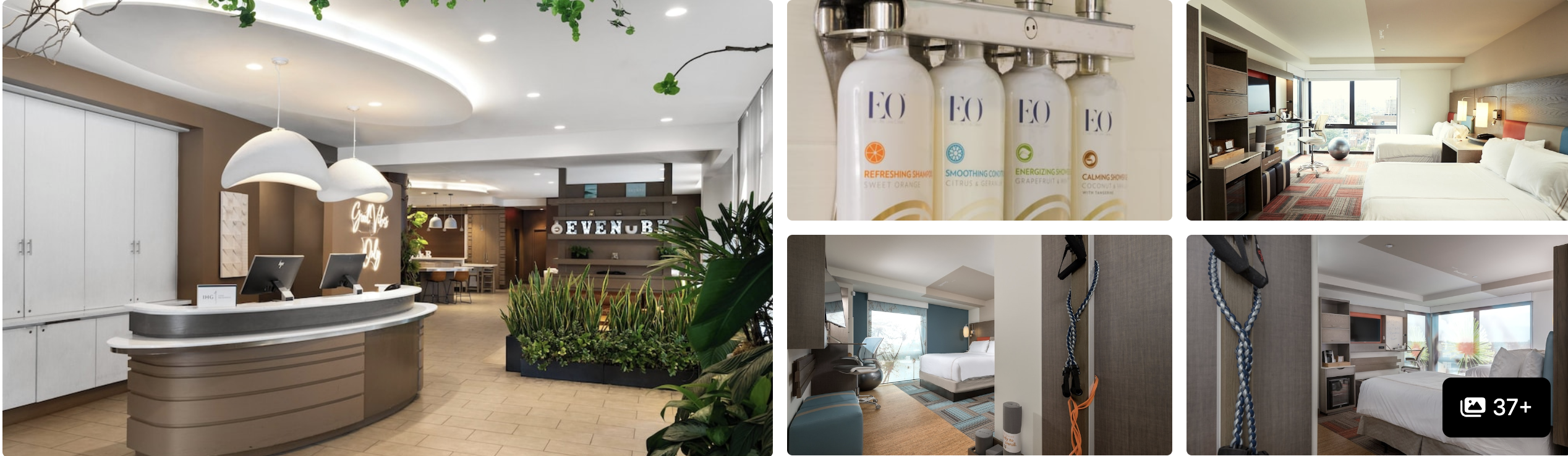 Photos of EVEN Hotel Brooklyn: bright reception lobby with greenery, EO bath amenities and guest rooms with in-room fitness gear