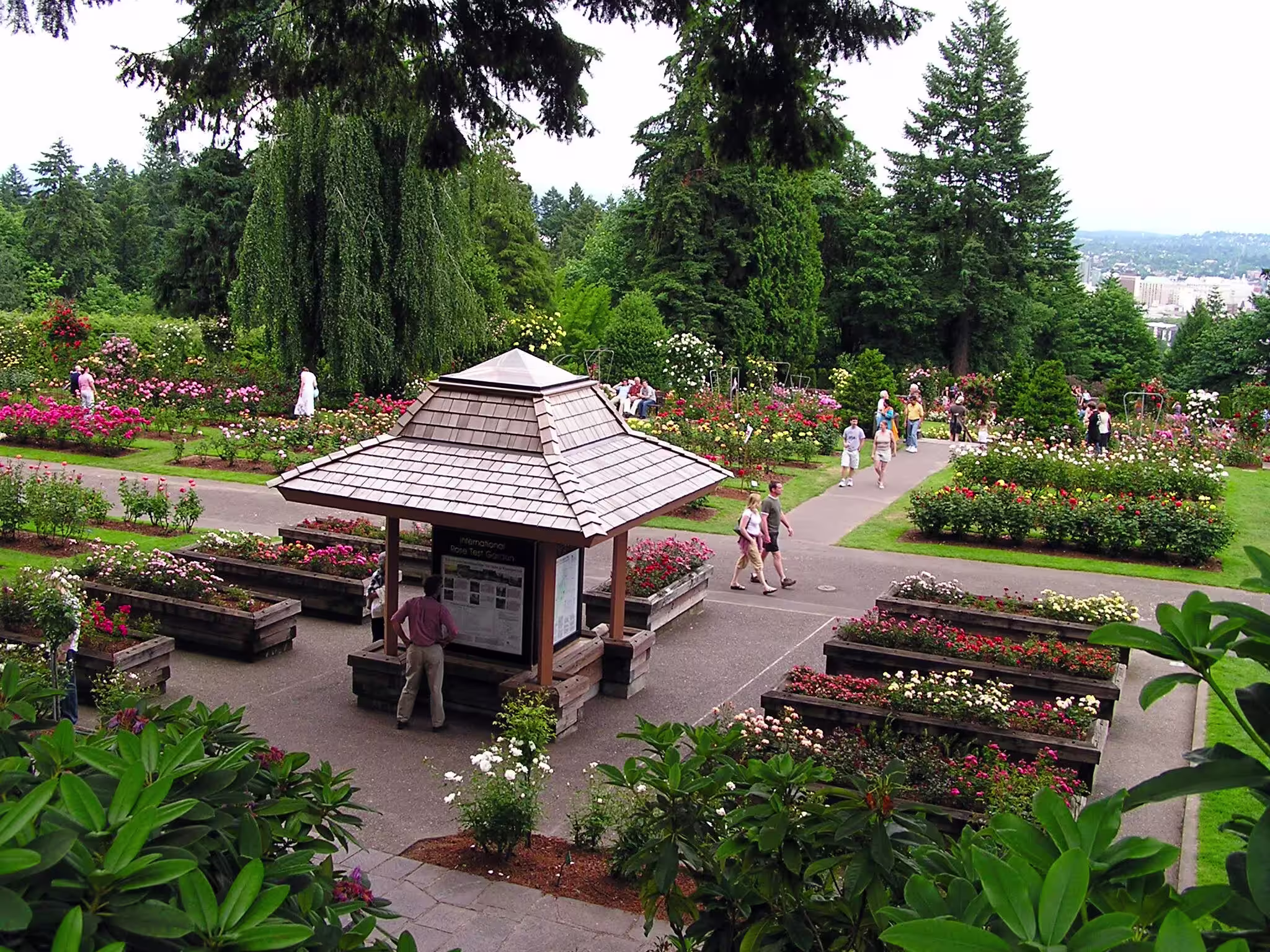 Visitors strolling among flower beds and a gazebo at the Portland International Rose Test Garden in Oregon