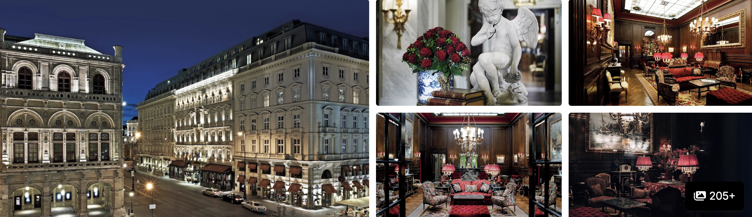Photos of Vienna, Austria: illuminated Opera House facade at night, hotel lounge and dining interiors