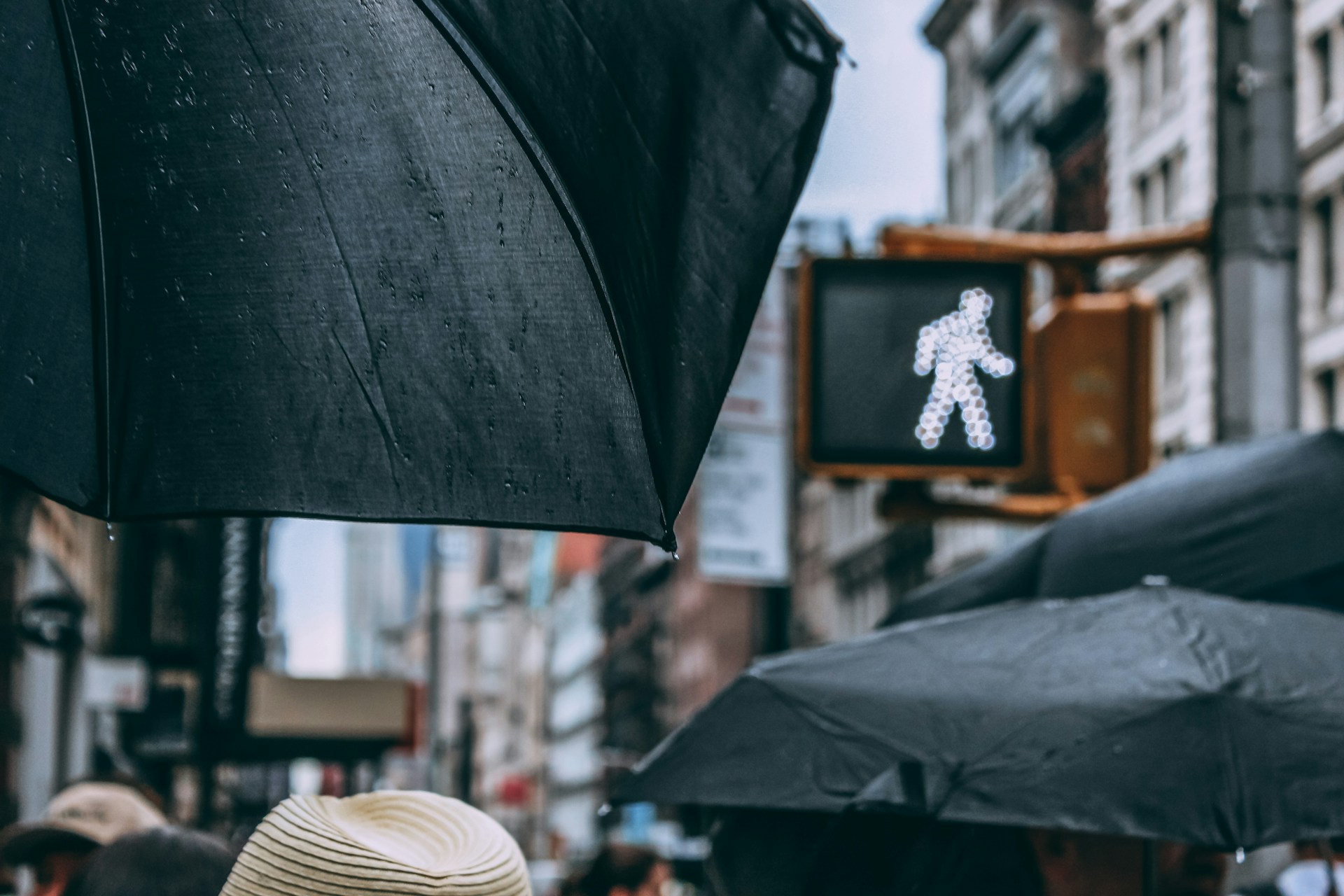 Black umbrellas in the rain by a glowing white walk signal on a New York City street