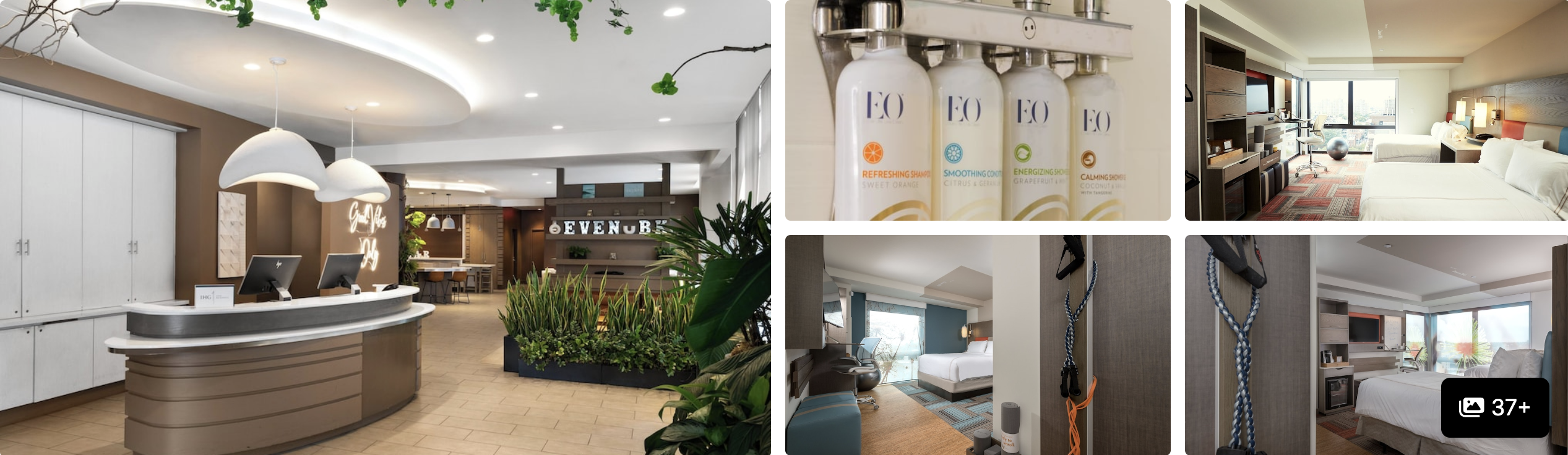 Photos of an affordable NYC airport hotel: curved reception desk, planted lobby and seating areas