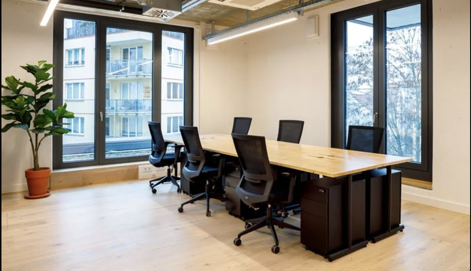 Private office at St Oberholz in Berlin with a wooden conference table, black chairs, floor-to-ceiling windows and a potted plant