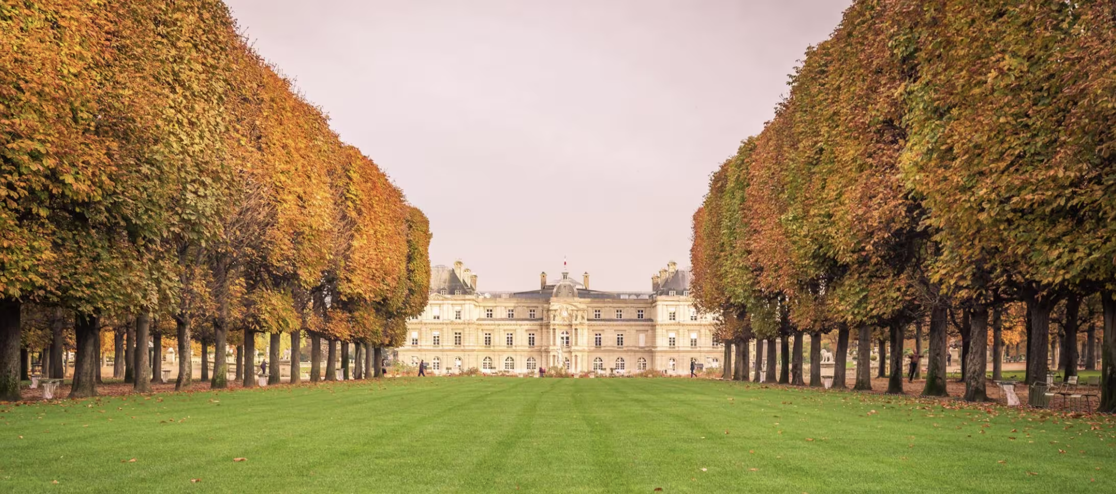Luxembourg Gardens in autumn with golden-leafed trees lining the lawn leading to the Luxembourg Palace, Paris