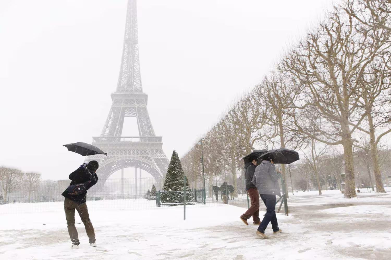 Snow-covered Champ de Mars in winter with people carrying umbrellas, a Christmas tree and the Eiffel Tower in the mist, Paris