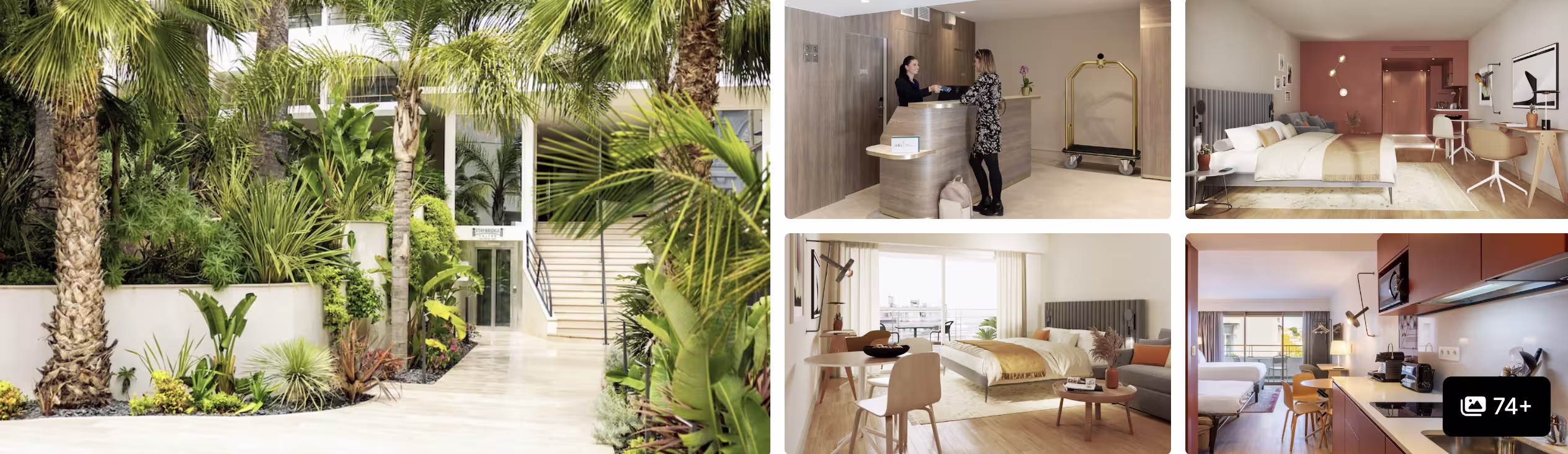 Photos of a mid-range hotel in Cannes: lush garden courtyard, front desk, guest room and dining nook with modern furnishings