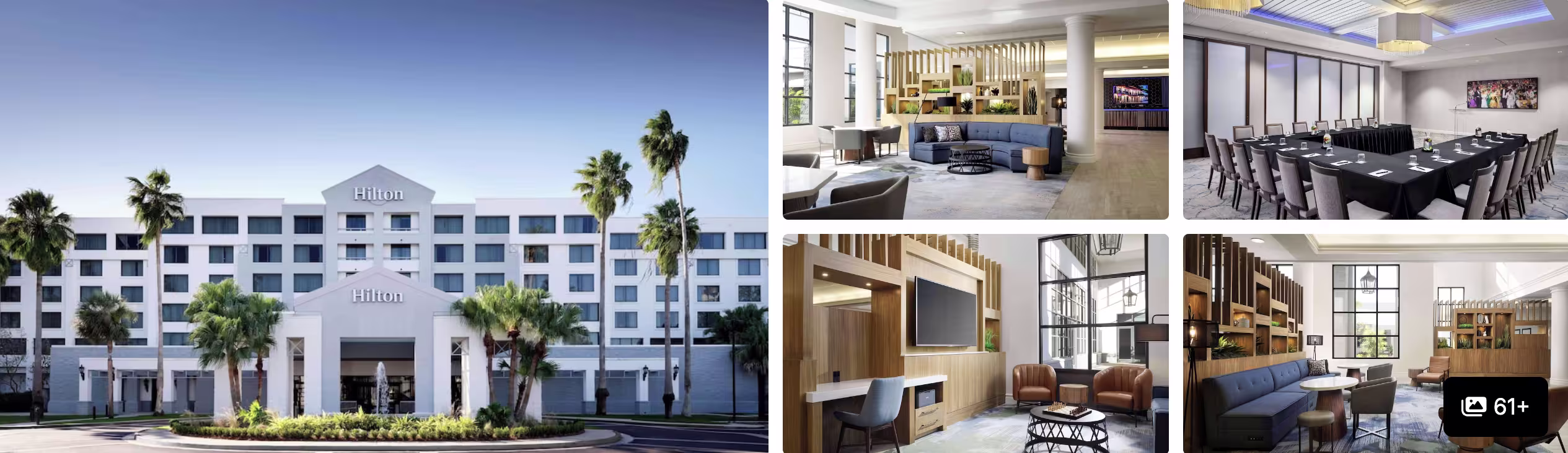 Photos of a full-service hotel near New Orleans MSY Airport: palm-lined exterior, lobby lounge, meeting room and seating areas