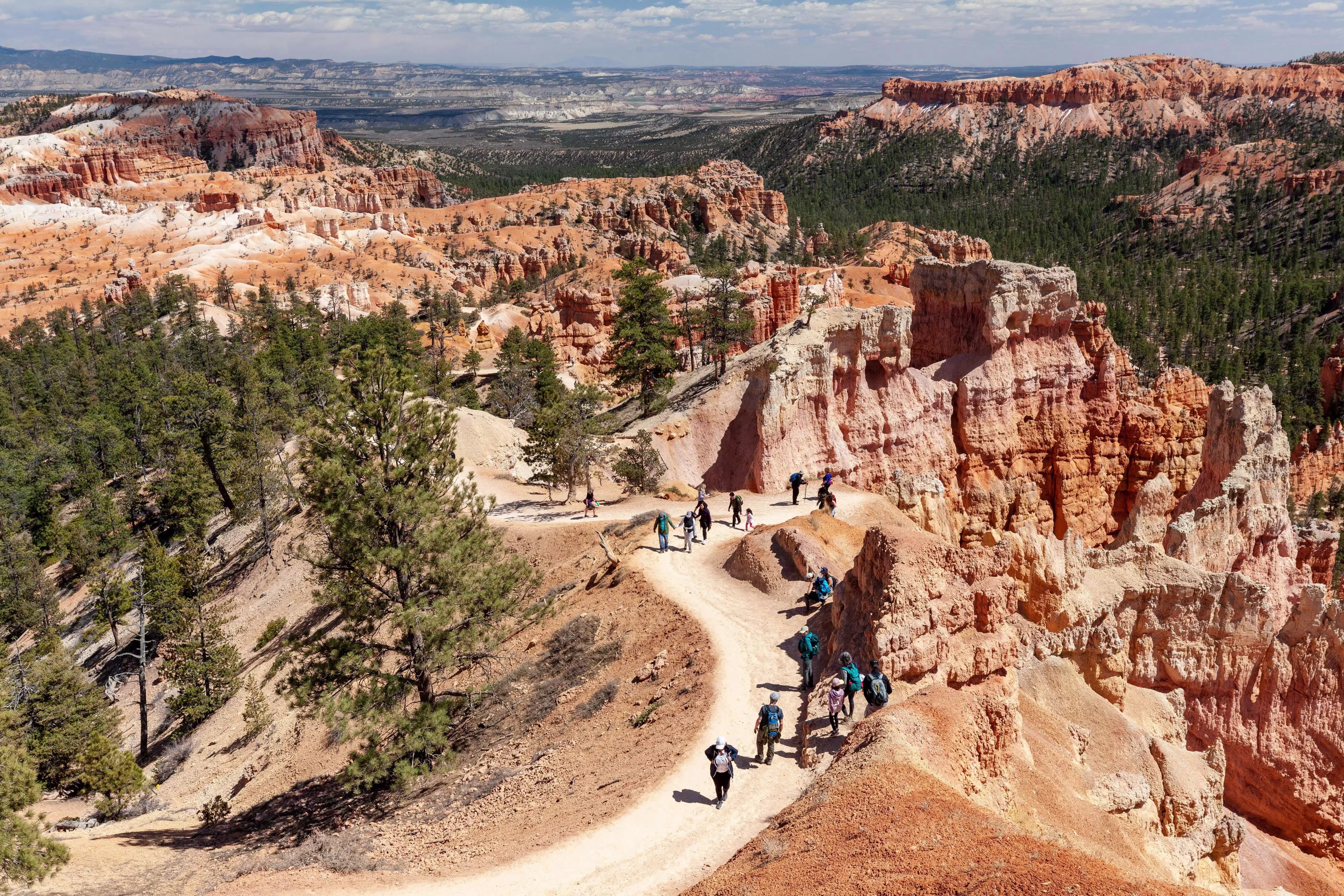 Best US National Parks for Summer 2026: Hiking & Wildlife