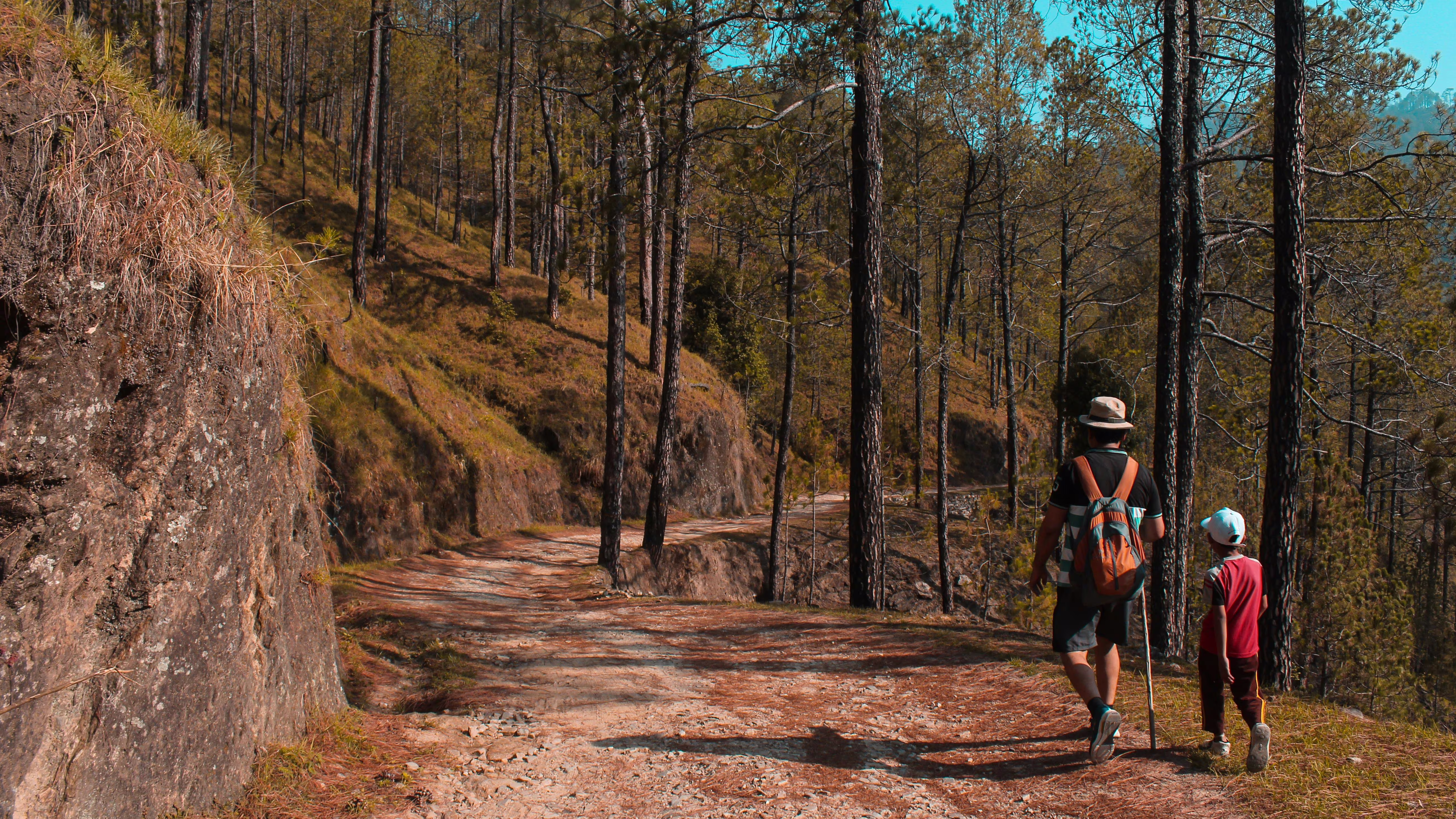 Father's Day Weekend Getaways: Hotels in US National Parks