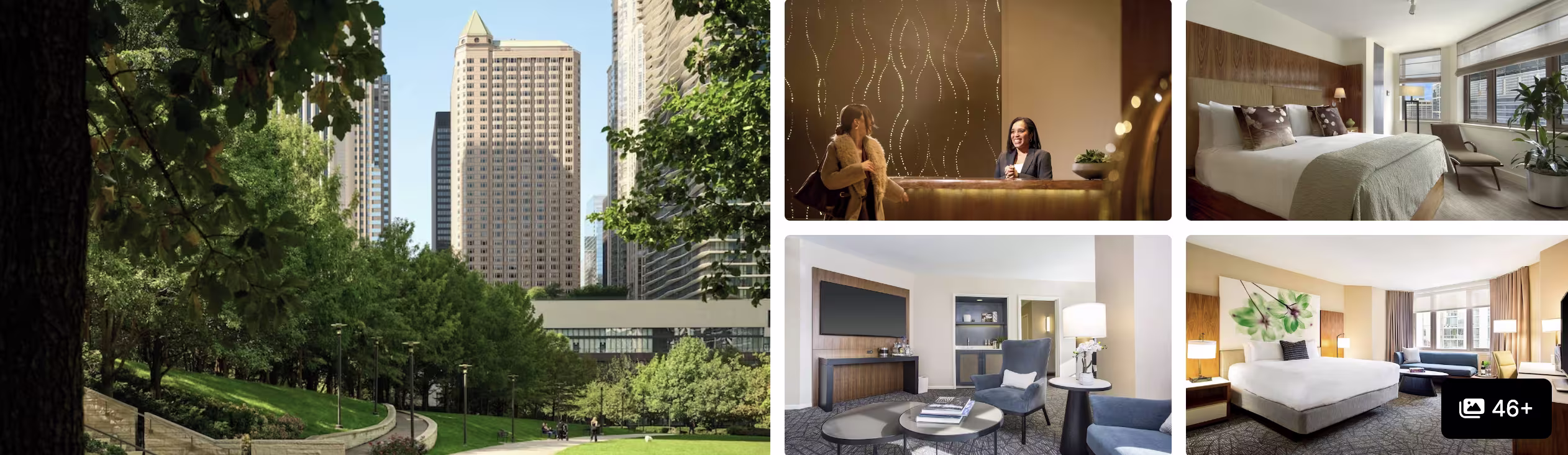 Photos of Chicago Athletic Association: city skyline through trees, lobby bar, modern guest rooms and lounge seating