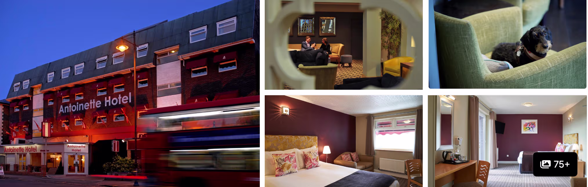 Photos of a Putney hotel near Southfields: floodlit exterior at dusk, guest rooms and lounge seating with a dog