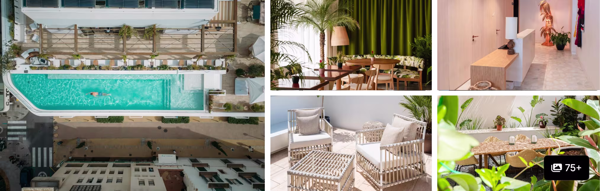 Photos of Nobu Hotel Ibiza Bay: rooftop pool, green-walled restaurant, garden terrace seating and dining areas
